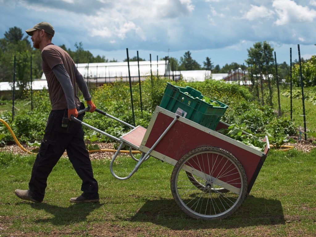 Chariot de récolte équipement pour petite ferme