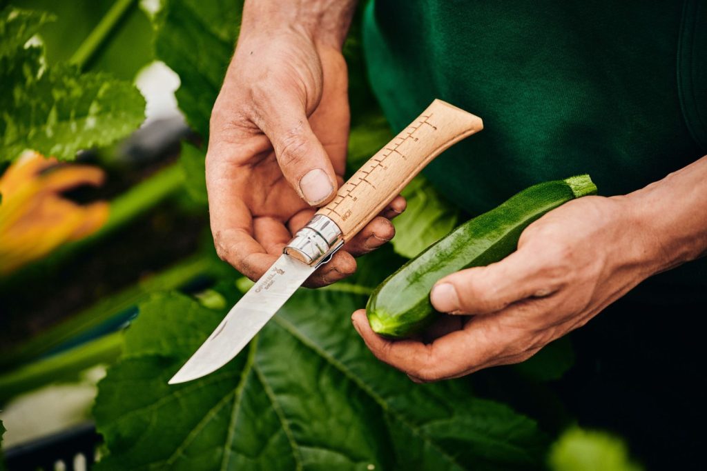 Opinel for harvesting crops tools for farming