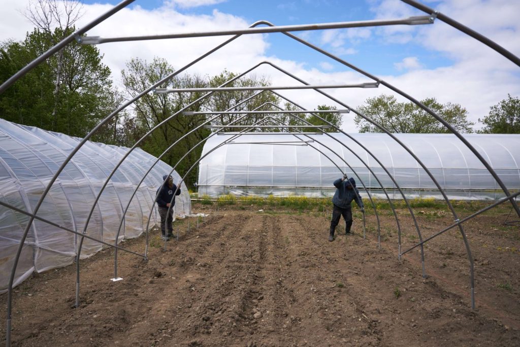 Équipement agricole serres et tunnels
