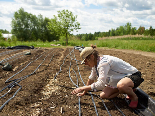 irrigation - Market Gardener Masterclass