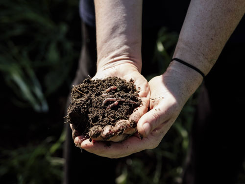 living-soil Market Gardener Masterclass