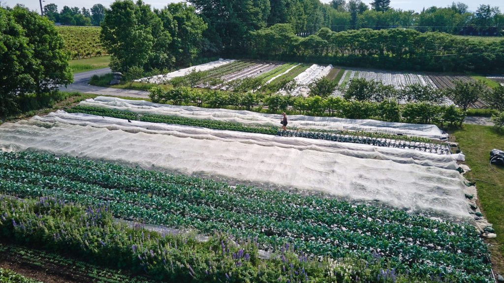 How to Run a Profitable Farm