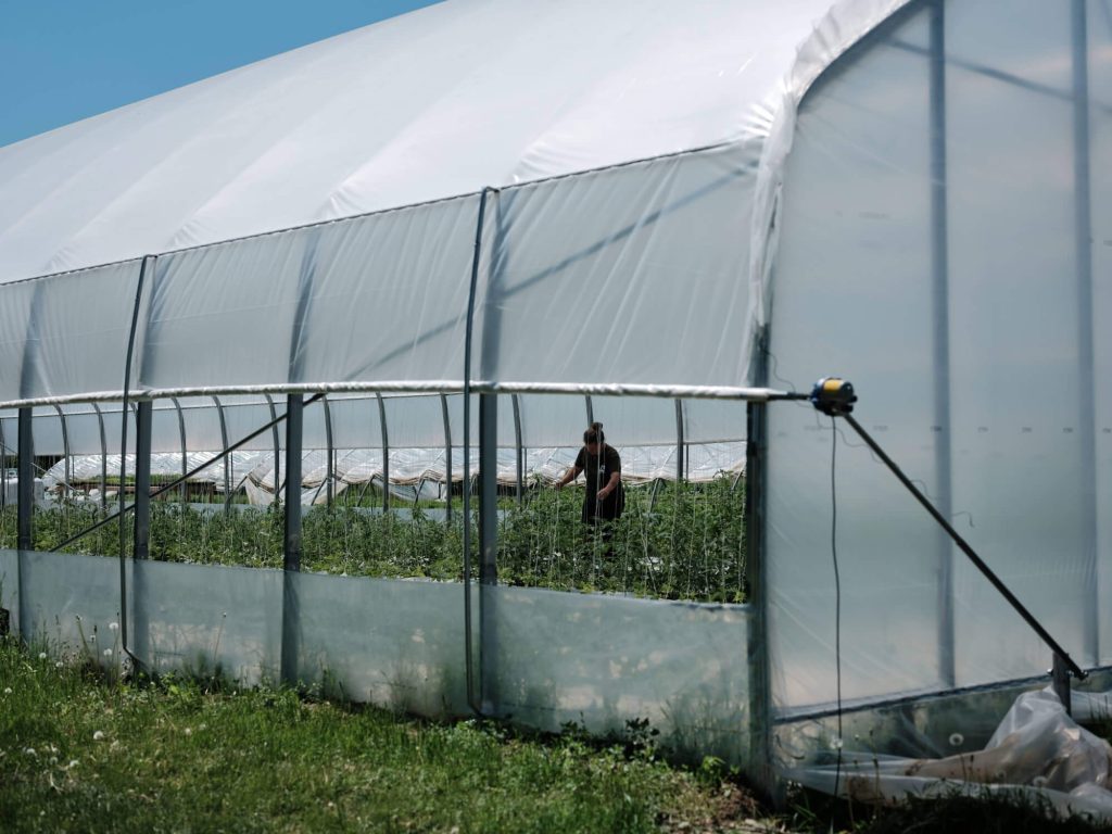 Greenhouse management