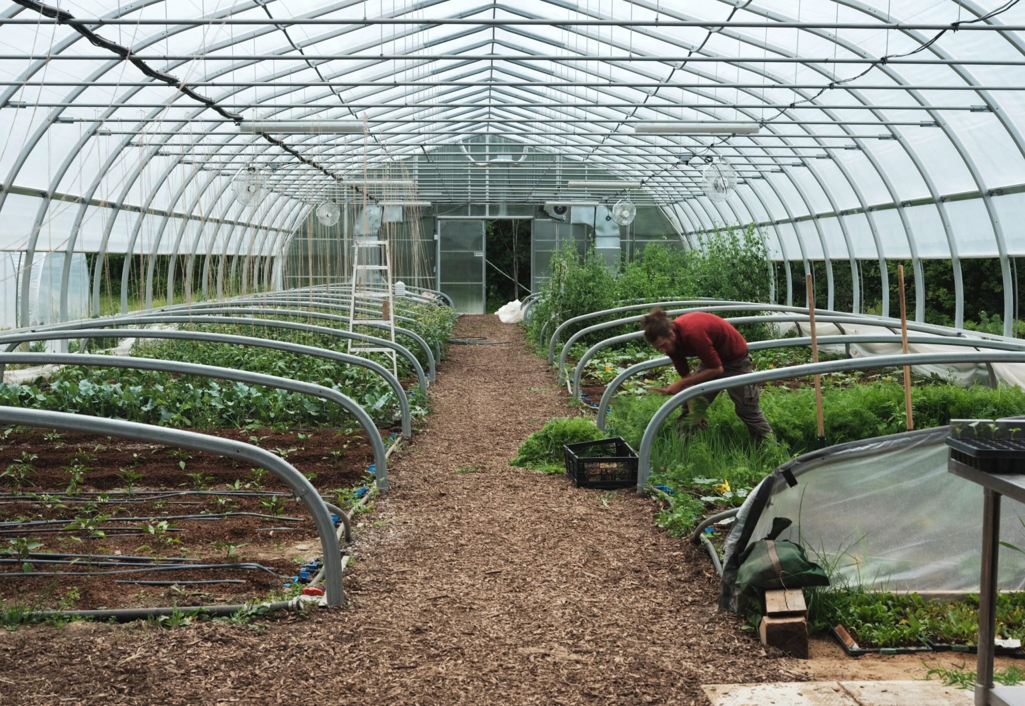 the role of the greenhouse in the market garden