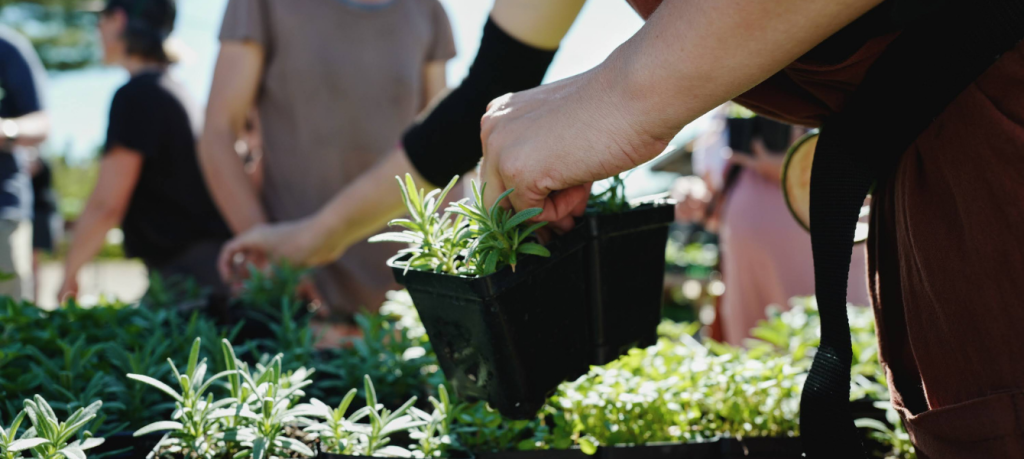 Plant sales