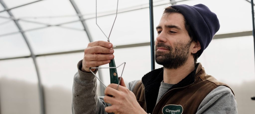 Wire Weeder