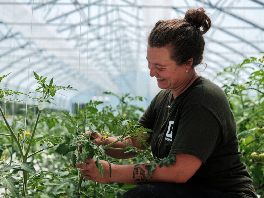 Farmer in a greenhouse