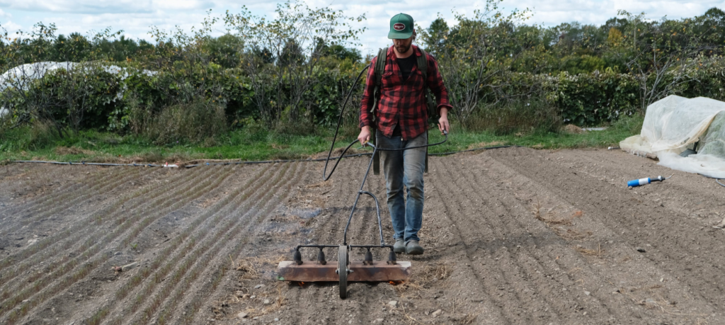 Flame Weeder