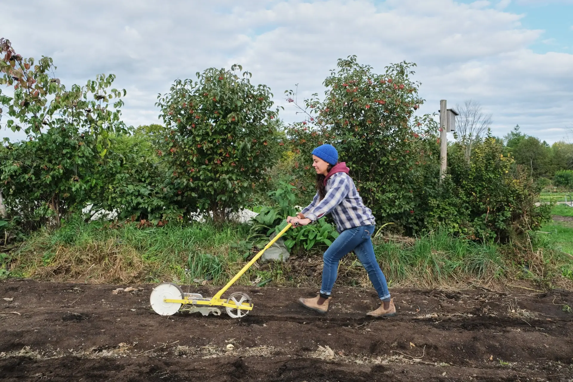 Jang seeder on a small farm