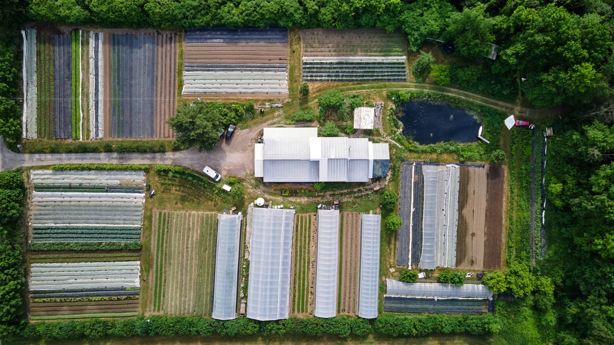 8 Crucial Advantages of Small-Scale over Large-Scale Farms