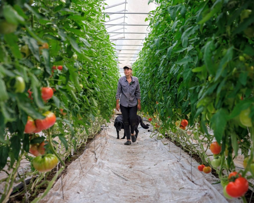 Greenhouse management