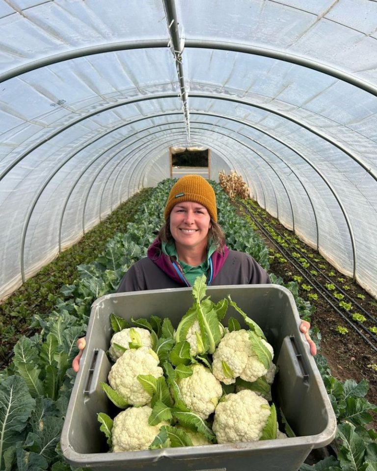 Market Gardener Masterclass Organic Farming Online Course