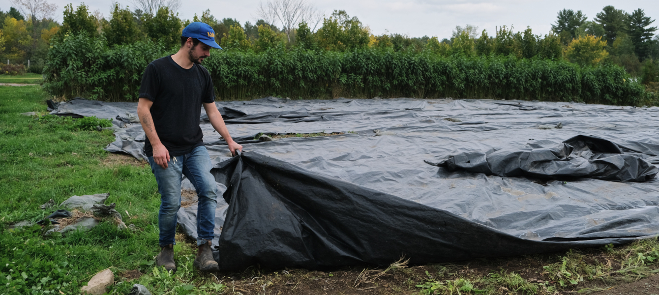 how to use sillage tarps