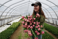The flower farm - welcome video - online course