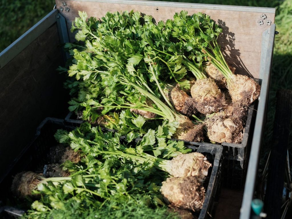 Market Gardener Masterclass Organic Farming Online Course