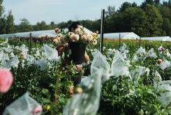Planning your season - the flower farm online course