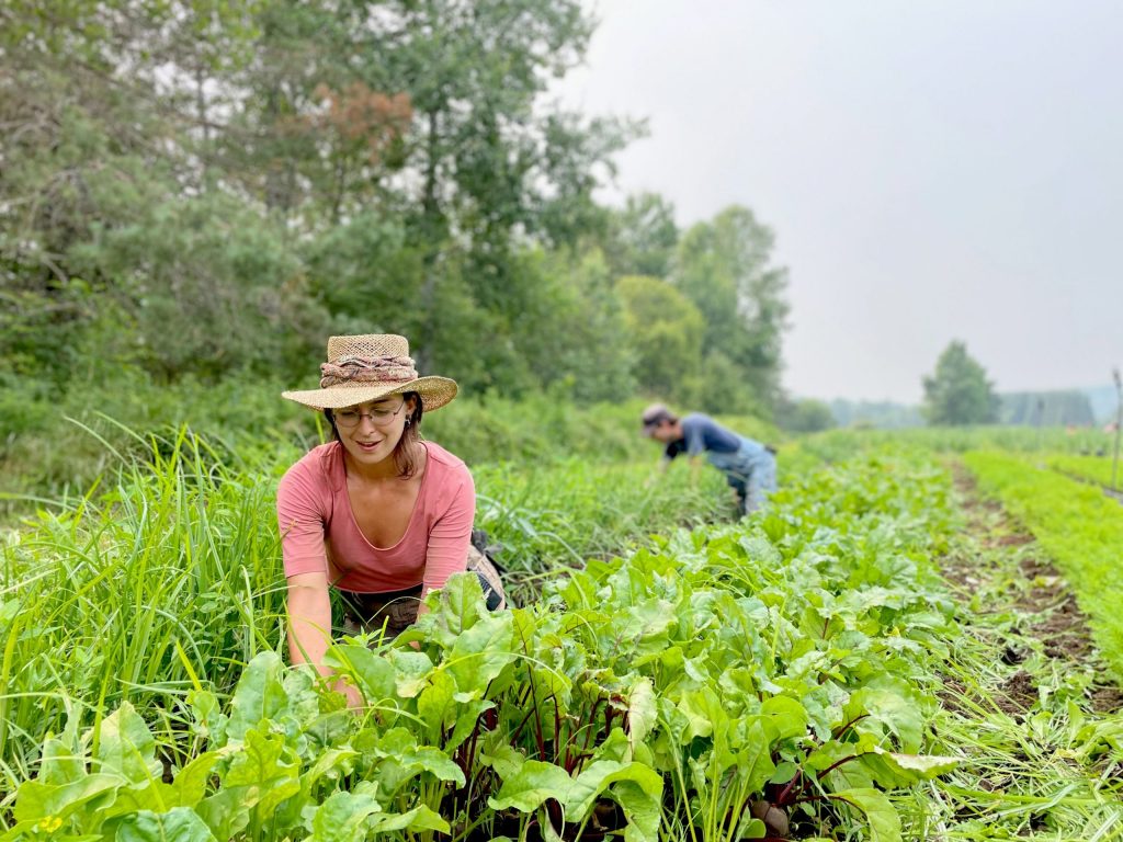 Find the best land for farming