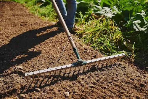 How to prepare beds on a flower farm