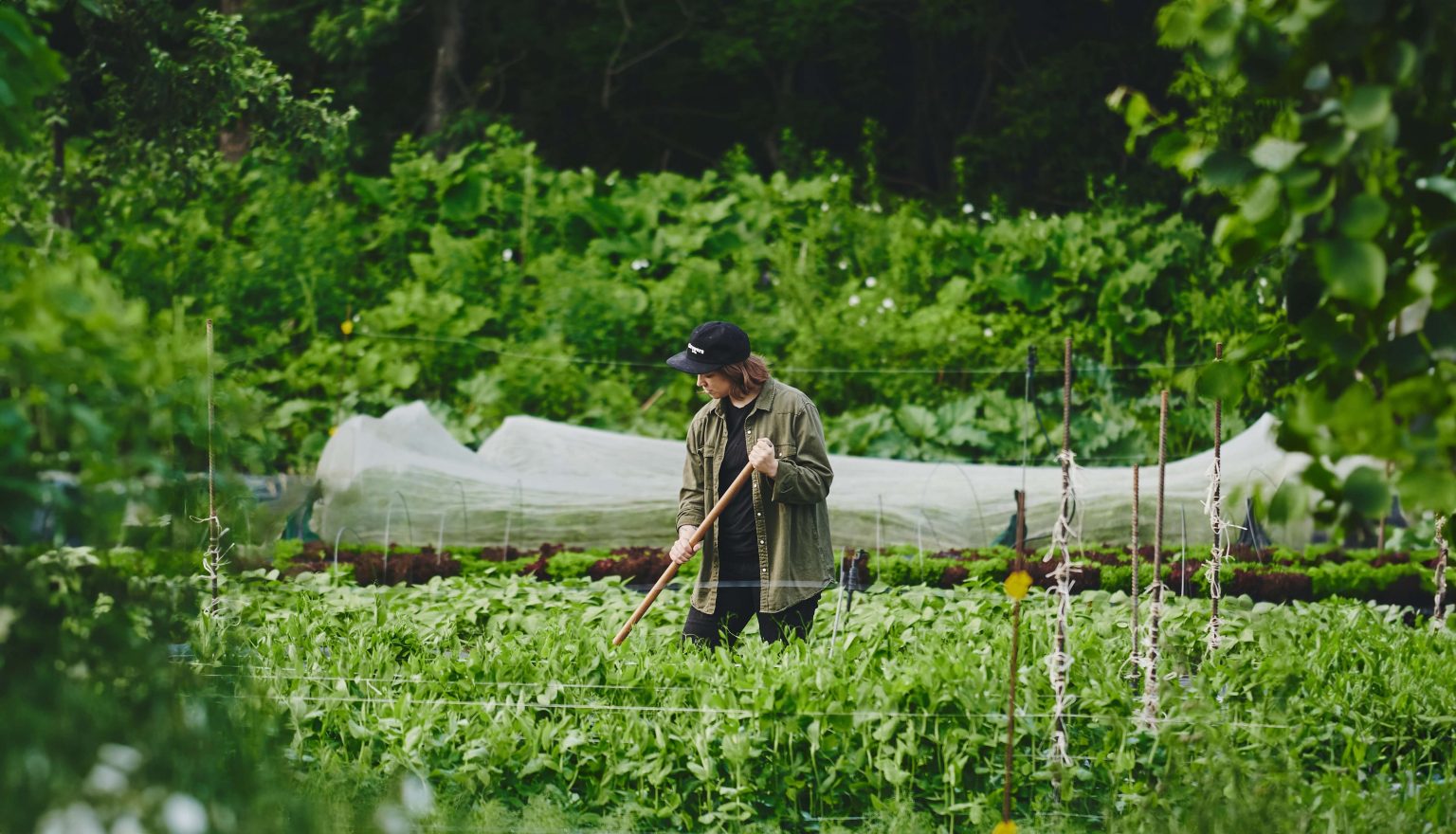 Market Gardener Masterclass promo The Market Gardener