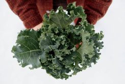 Winter Kale