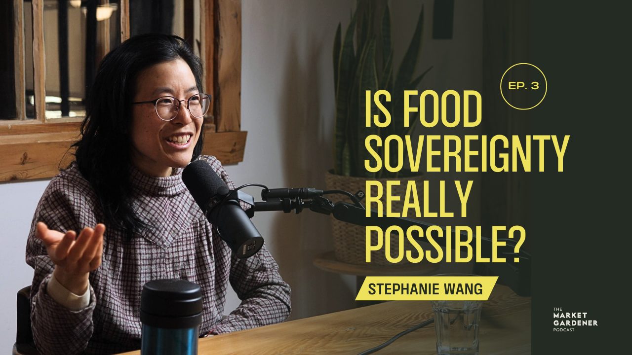 Podcast episode stephanie wang