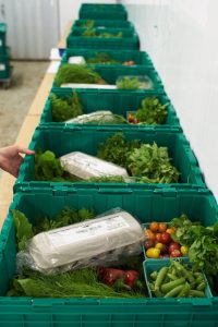 CSA basket - How Much Money Can a Small Farm Make?