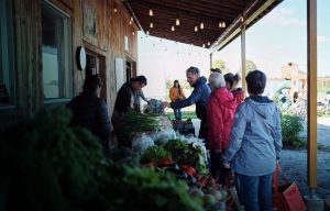 Digital Marketing for Farmers, Farm marketing class