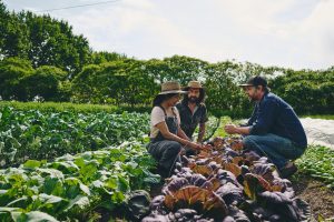 Market Gardener Masterclass