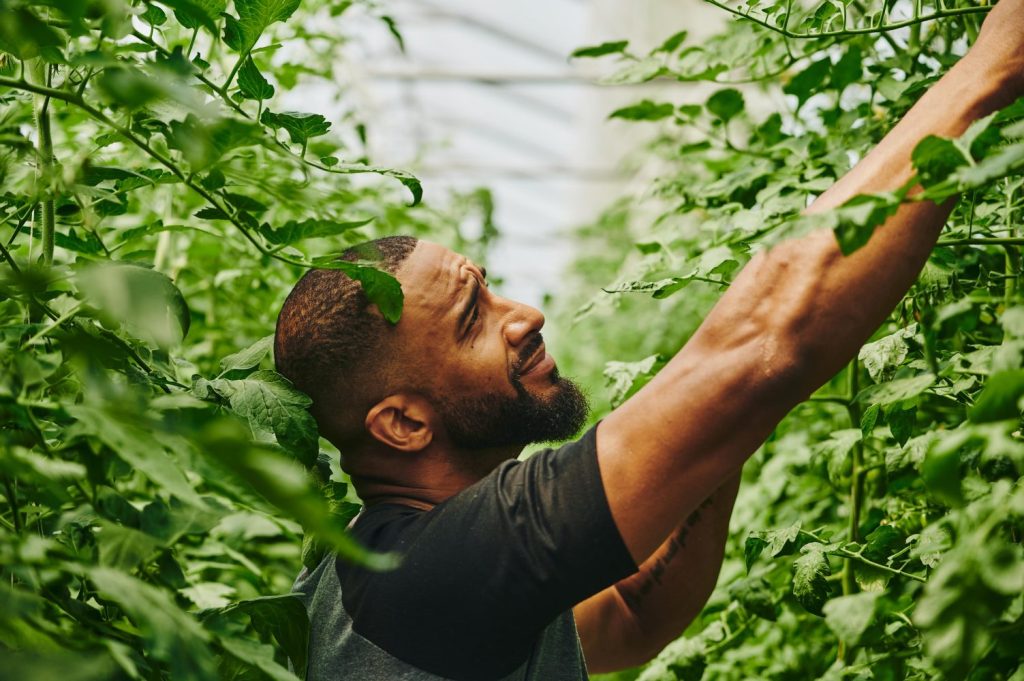 Ultimate Guide to Greenhouse Farming for Market Gardeners