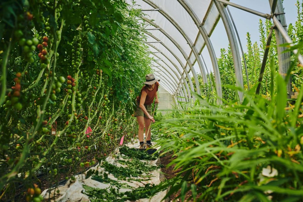 Greenhouse Pest Prevention: The Ultimate Guide