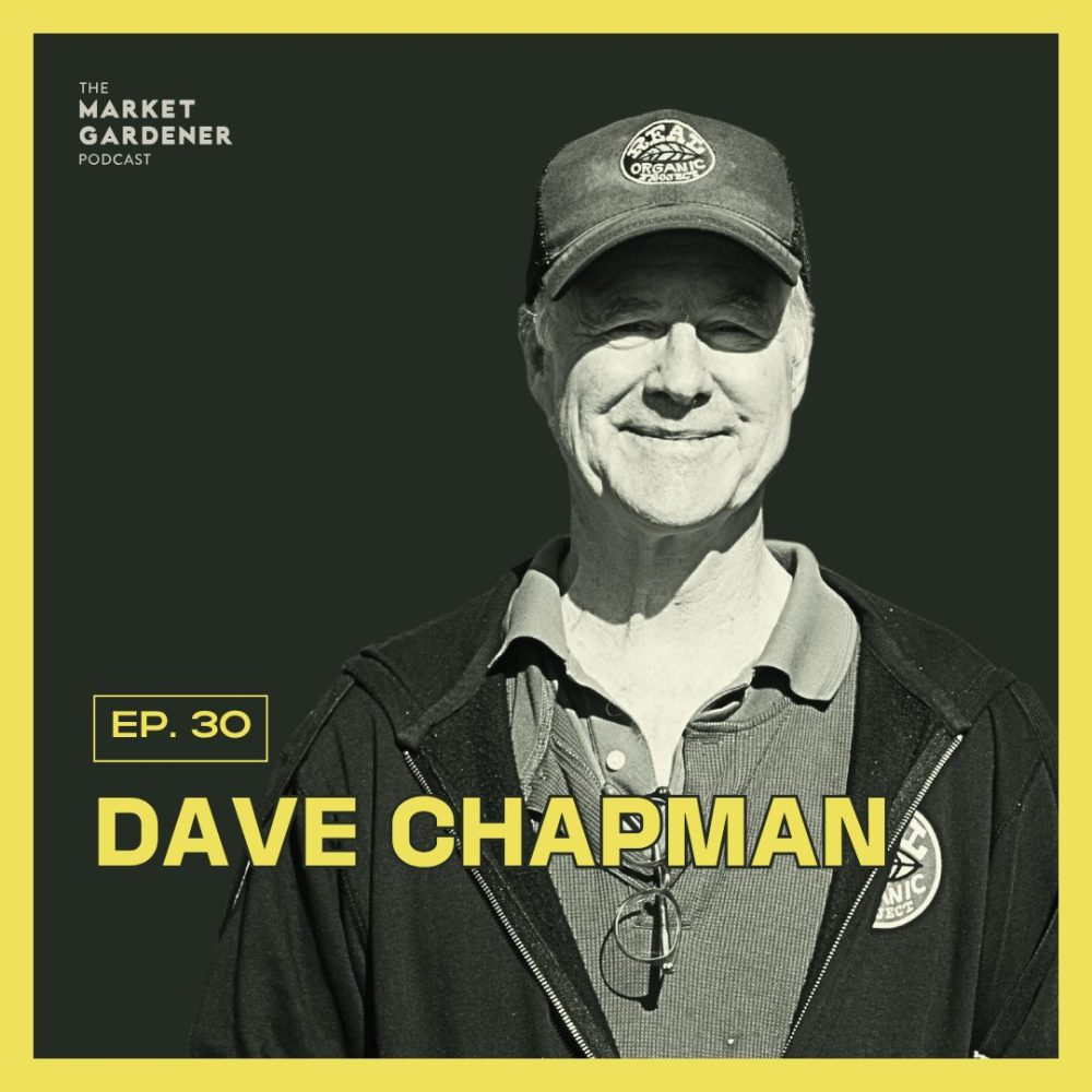 Dave chapman