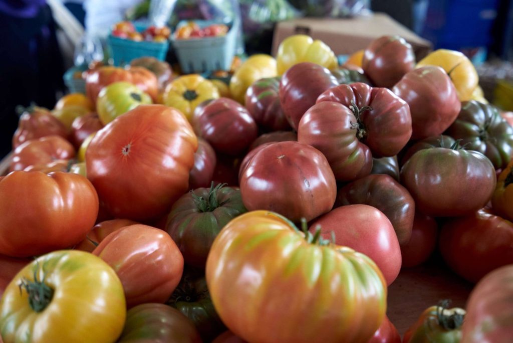 Profitable crops for small farm field tomatoes