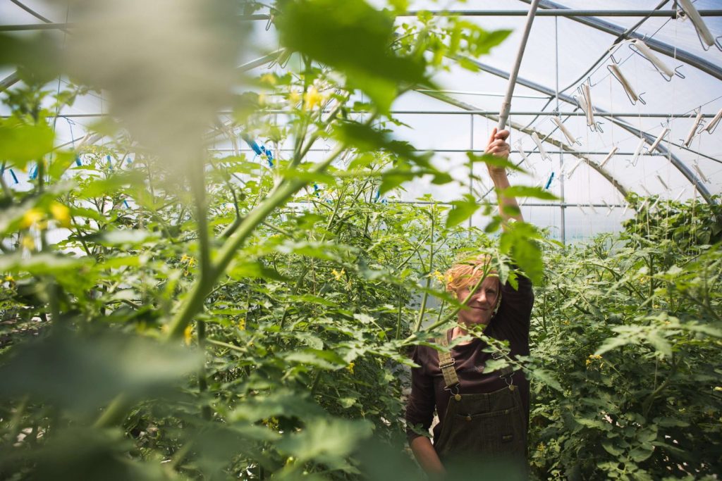 Starting a small organic farm