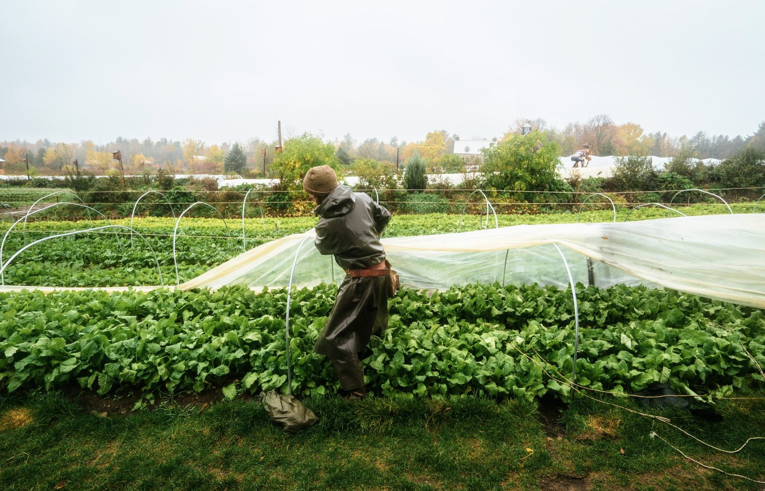 season extension and winter farming