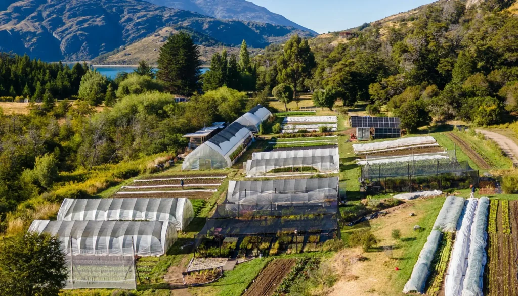 Huerto Cuatro Estaciones