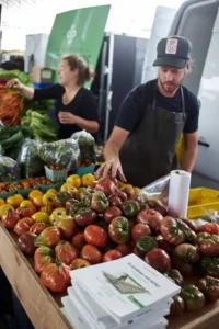 how to increase tomato yield