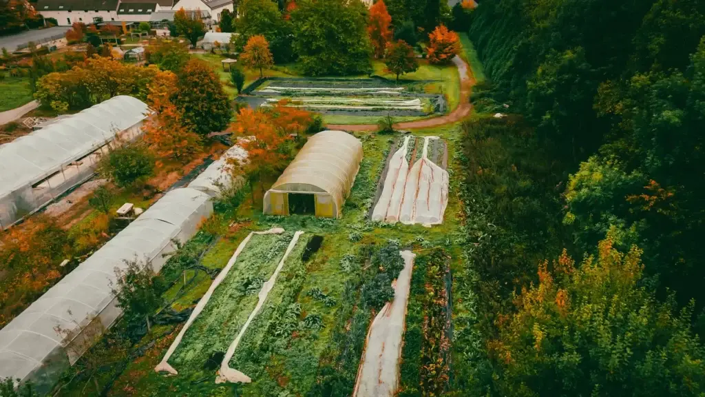 Perma-Projects Academy