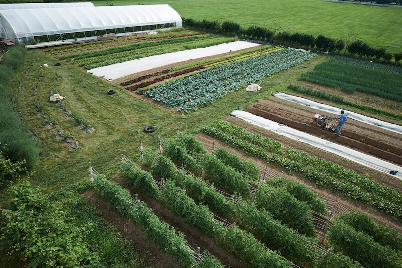 Farm Design Course - Master Your Farm Layout - The Market Gardener