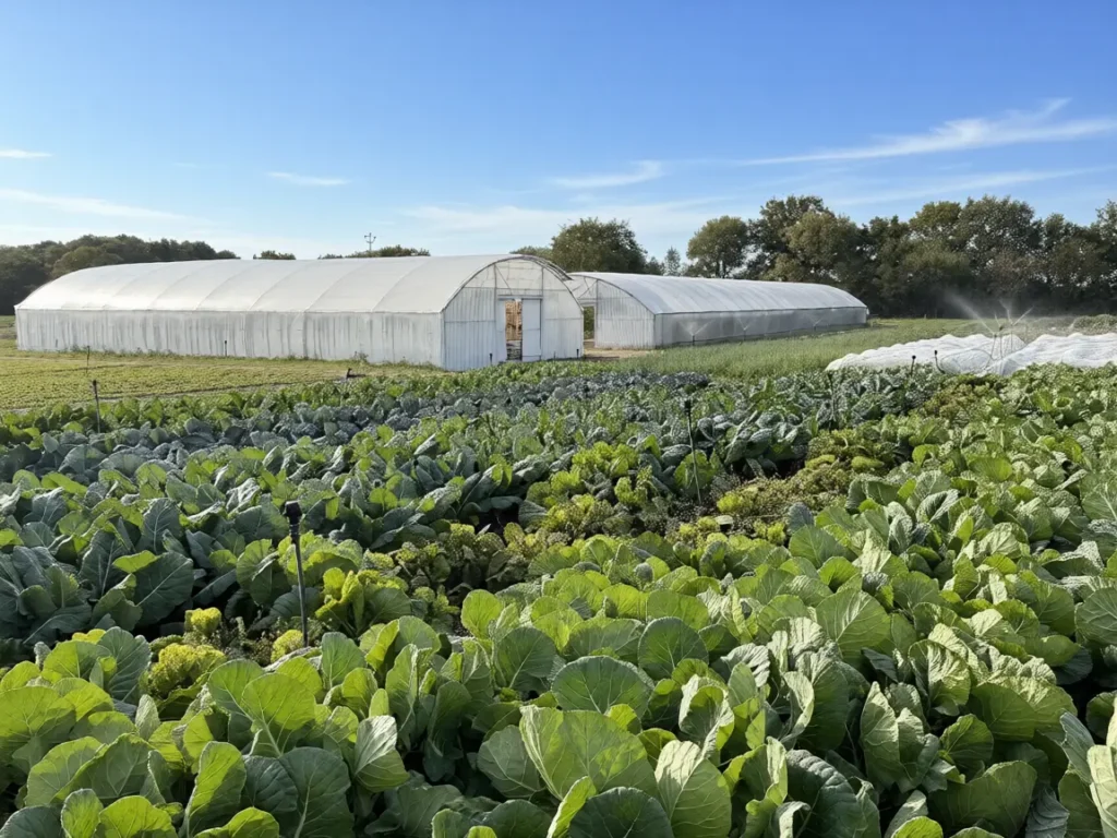 Market Gardener Farm school cultive
