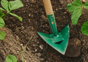 Katana japenese hoe for gardener and growers