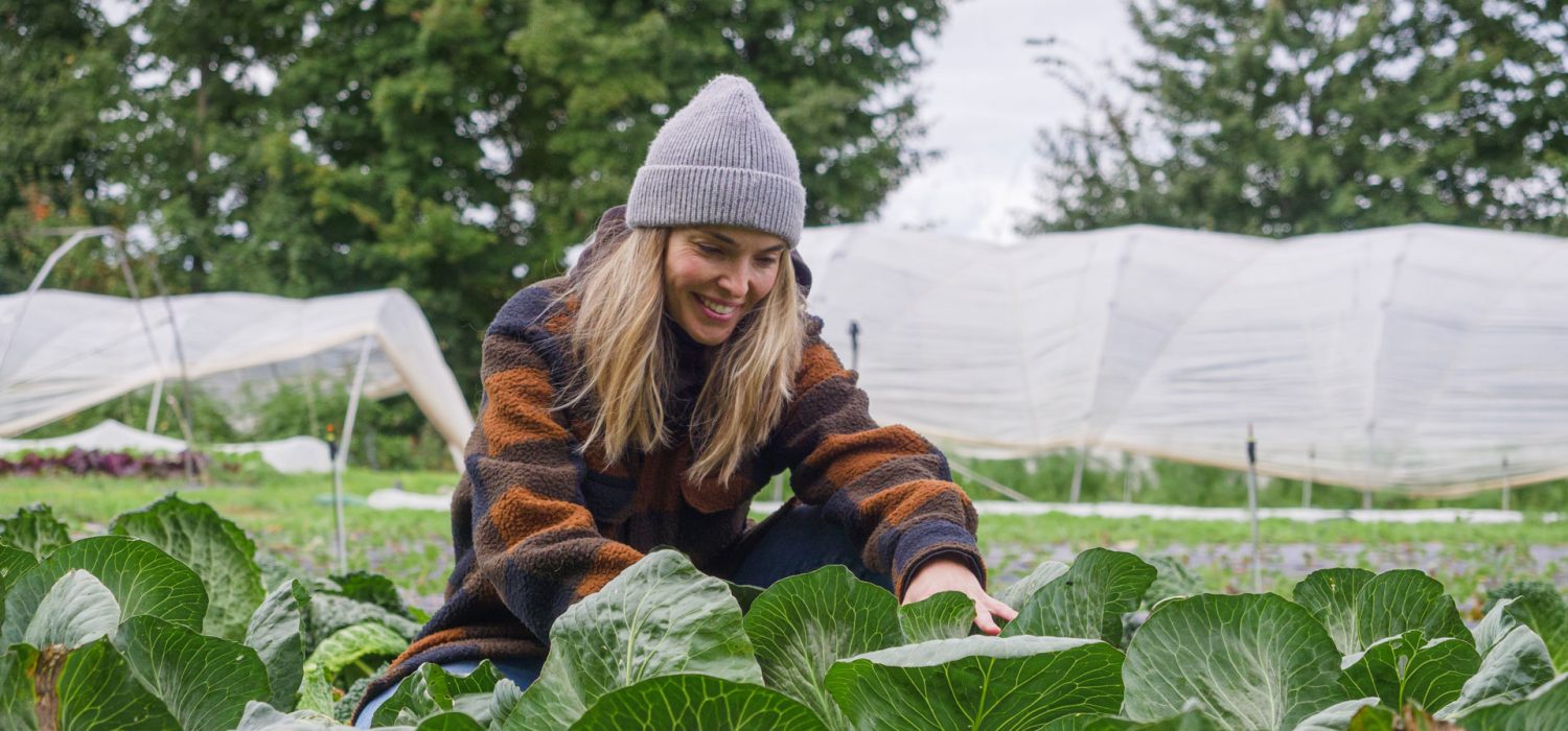 Market-Gardening-_-Farming-Courses-for-Beginners