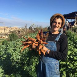 Yara Dowani_Om Sleiman Farm