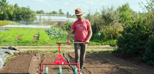 courses-img online farming courses