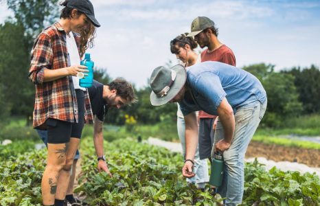 cultivezlechangement_oldmill