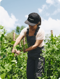 farming-course-masterclass-market-gardener-institute.png