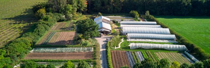 farming-img online farming courses