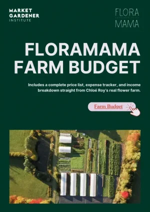 floramamas-budget-template-en-buy