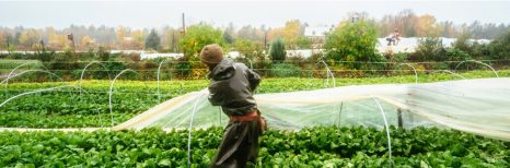 online-img The Market Gardener Institute - JM Fortier